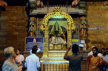 Meenakshi Temple, Madurai,_DSC_7945_H600